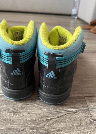 Кросівки adidas 5