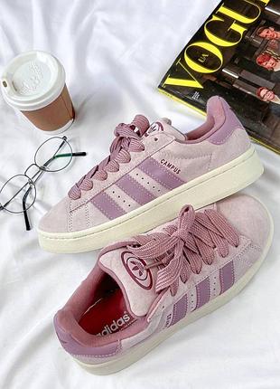 Кросівки campus grey/pink
