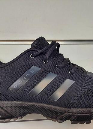 Кросівки  adidas  великий  розмір