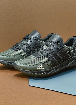 Кроссовки мужские летние  adidas climacool olive кожа-сетка