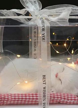 М'яка іграшка кошеня