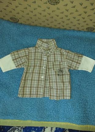 Дитяча сорочка koala kids