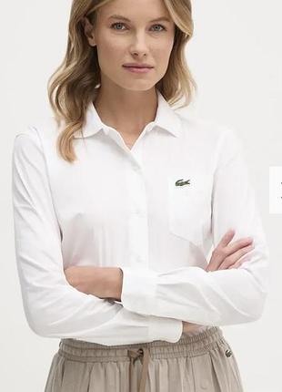 Сорочка lacoste