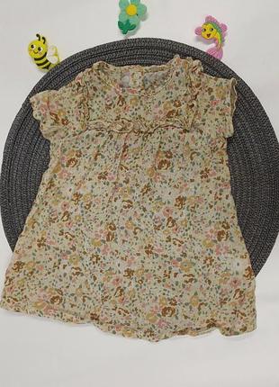Блуза дитяча для дівчинки next 3-6, 6-9 міс