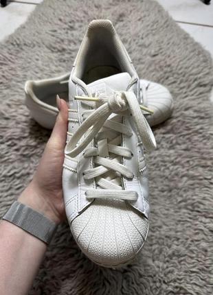 Женские кроссовки adidas super star