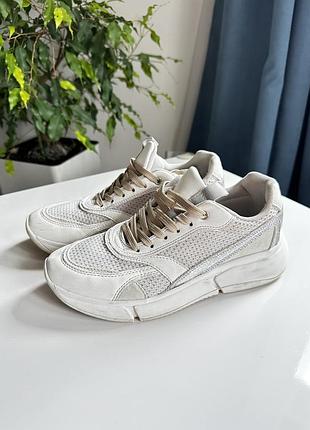 Кросівки шкіра