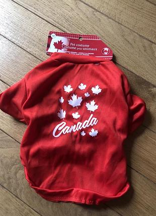 Одяг для собак котів