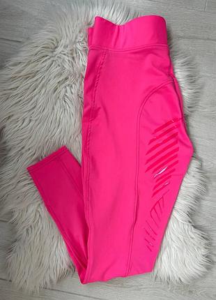 Лосіни для верхової їзди нові