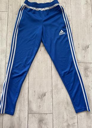 Брюки adidas оригинал