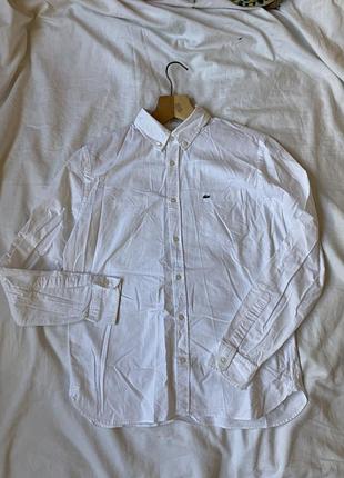 Рубашка lacoste l