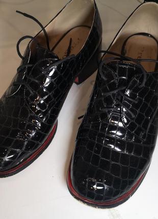 Жіночі шкіряні туфлі prego