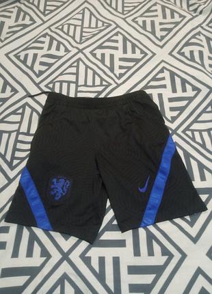 Шорти nike
