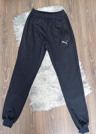 Спортивні штани puma