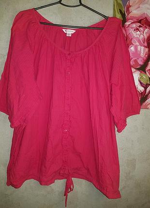 Яскрава кофтинка блуза футболка