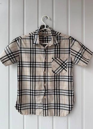 Сорочка  дитяча burberry