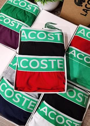 Набор трусов lacoste 2шт на выбор в коробке, набор мужских трусов лакоста в подарочной коробке