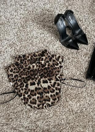 Комірець леопард, манішка