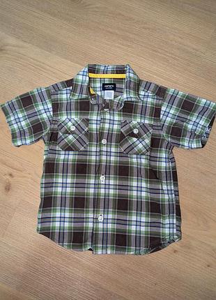 Сорочка в клітинку картата