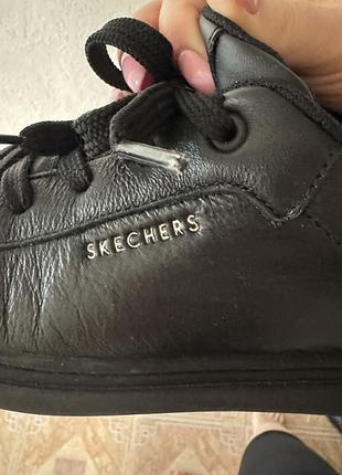 Кеди skechers 3