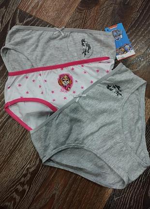 Набір трусиків на 4-6 років