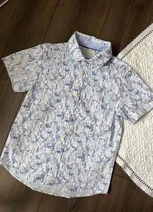 Сорочка на короткий рукав для хлопчика з динозаврами 9 років