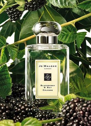 Тестер jo malone blackberry & bay 100 мл