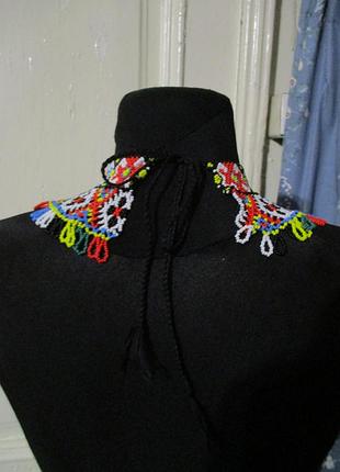 Силянка кольорова 4