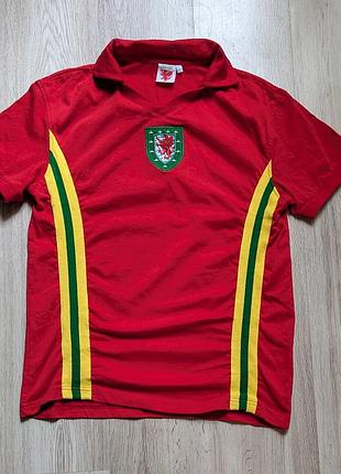 Винтажная мужская футболка wales jersey номер 10