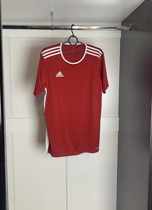 Спортивная футболка от adidas climacool мужская кофта nike ветровка шорты puma адидас