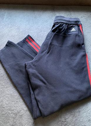 Спортивні штани adidas