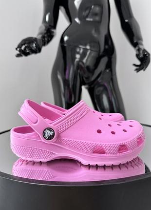 Мягкие классические кроксы  сабо crocs