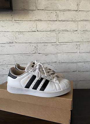 Кросівки adidas superstar