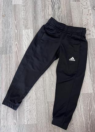 Штани adidas для хлопчика
