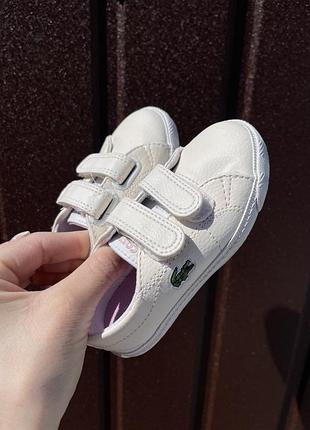 Кеди білі lacoste
