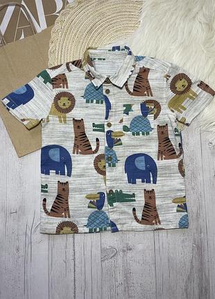 Сорочка 2-3 роки