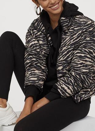 Куртка h&m