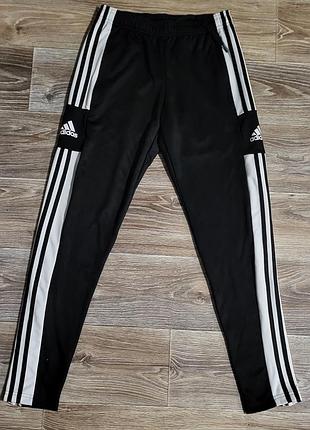 Чоловічі спортивні штани adidas