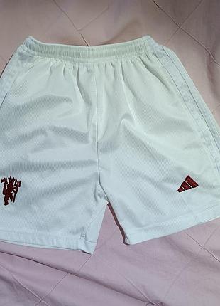 Футбольные шорты adidas фк manchester united, 26 размер
