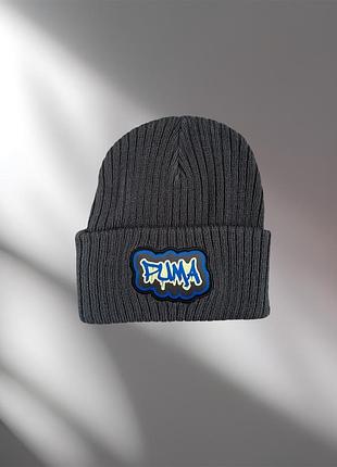 Шапка puma youth