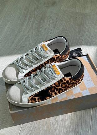 Женские кожаные кроссовки golden goose premium