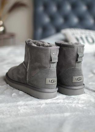 Ugg classic mini ll grey lbd угги женские наложенный платёж10 фото