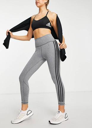 Сірі смугасті легінси лосіни adidas training future адідас оригінал с