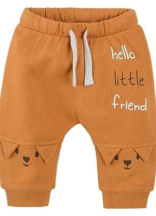 Спортивные штаны cool club 68