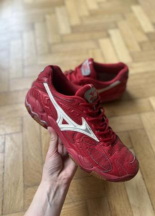 Кросівки mizuno