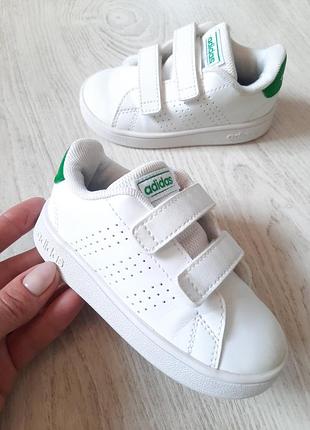 Кожаные базовые  кроссовки adidas advantage на липучках кеды черевики кросівки унисекс