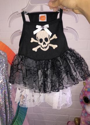 Одяг плаття комбінезон костюм для собак мальті