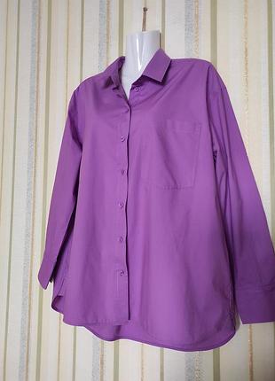 Нова жіноча рубашка блуза блузка 100% котон