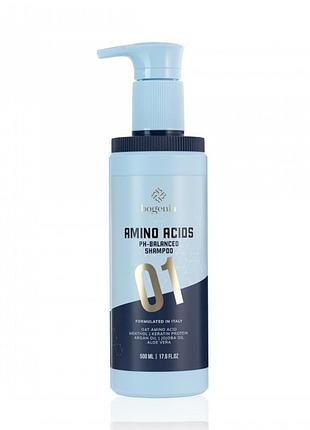 Шампунь для волосся amino acids shampoo bogenia