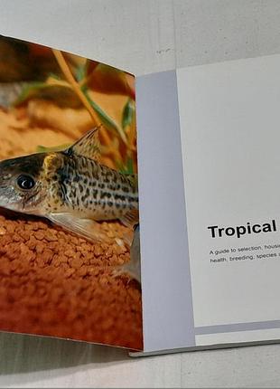 Довідник тропічні рибки  на англ. - tropical fish - акваріумні рибки