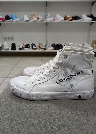 Оригинальные кеды calvin klein